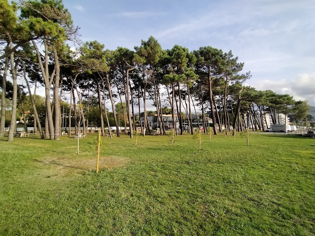 Paseo de Samil 5