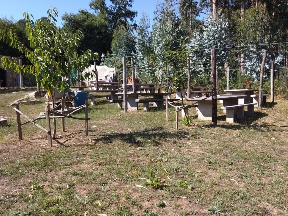 Taberna Do Yeyé - Foto 15