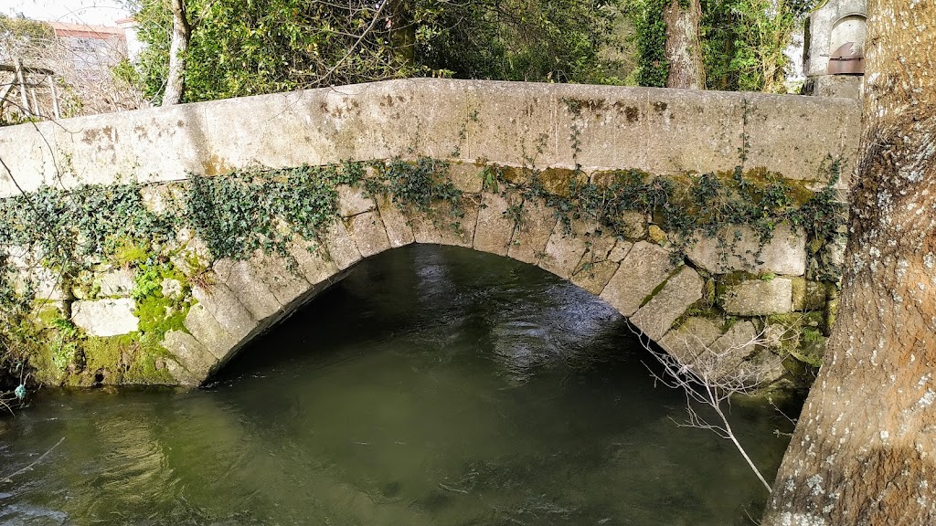 Parque das ánimas - Foto 1