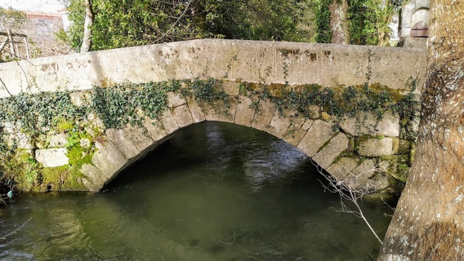 Parque das ánimas - Foto 10