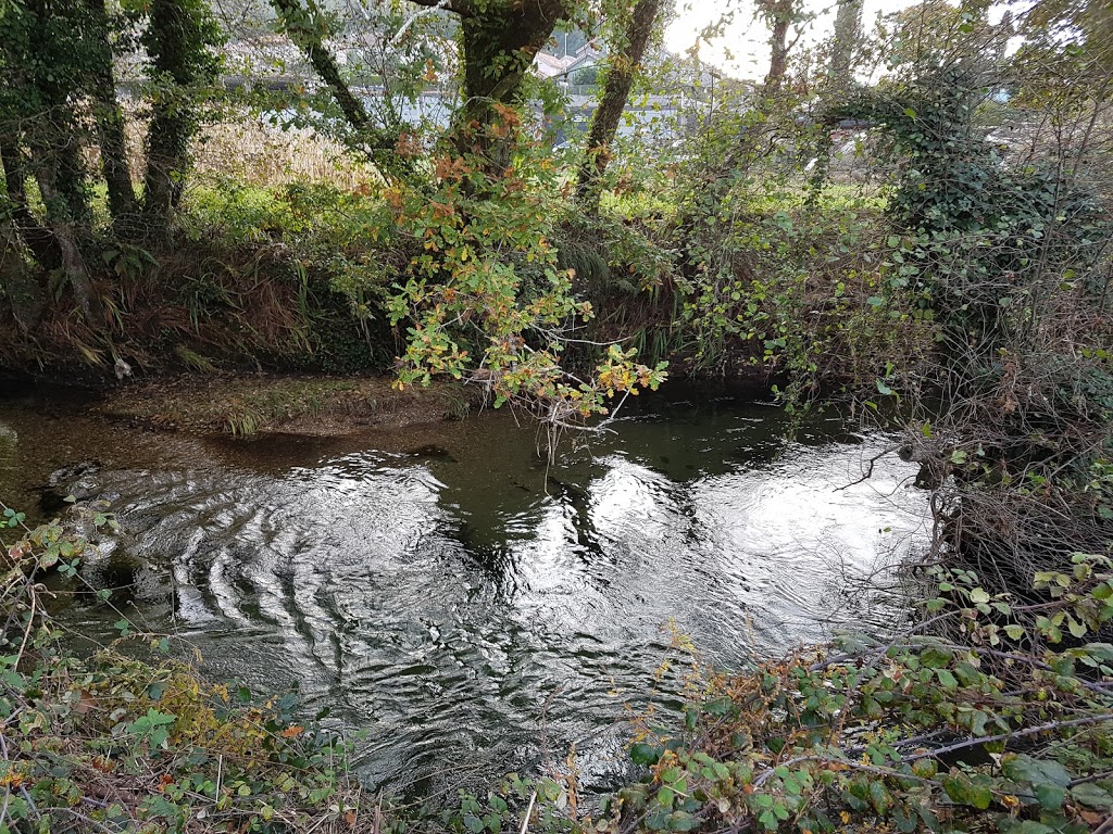 Parque das ánimas - Foto 1