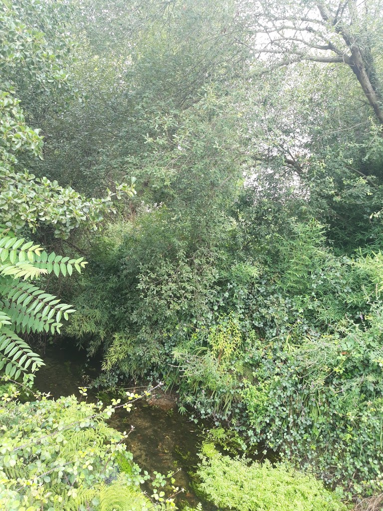 Parque das ánimas - Foto 1