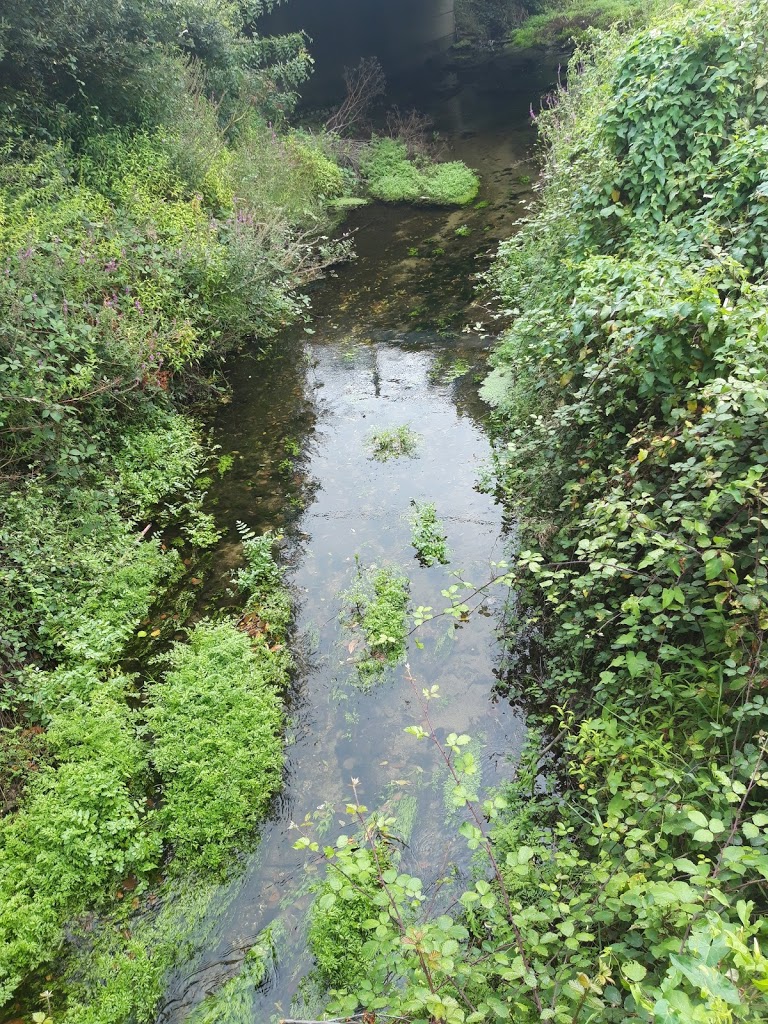 Parque das ánimas - Foto 4