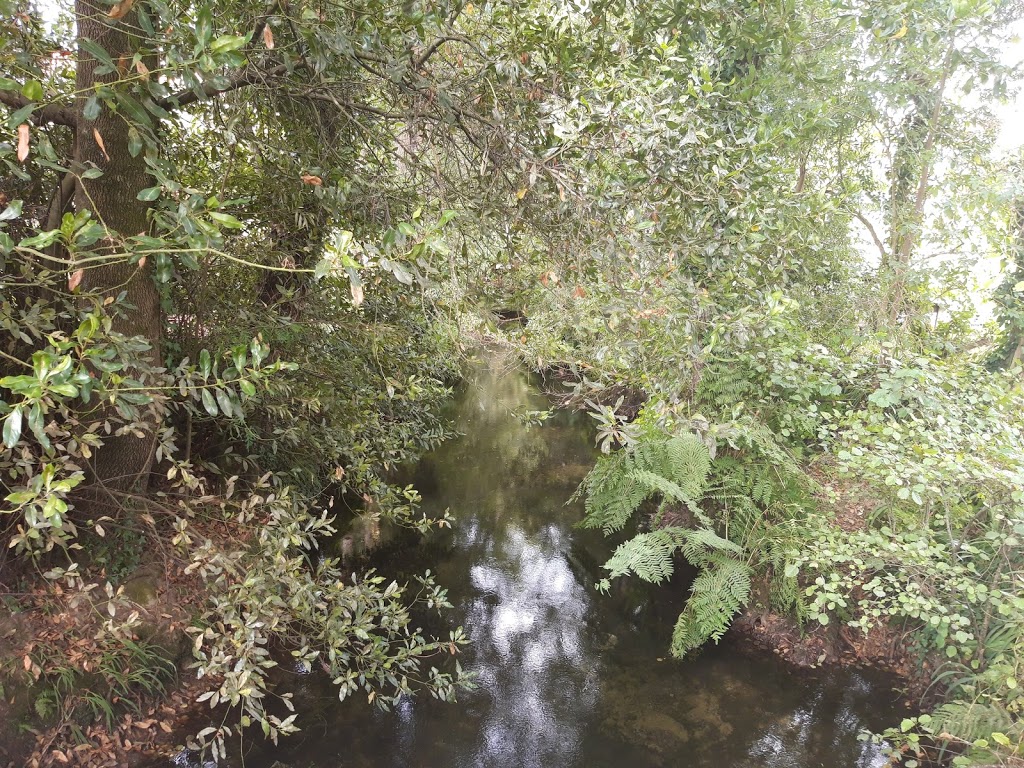 Parque das ánimas - Foto 1