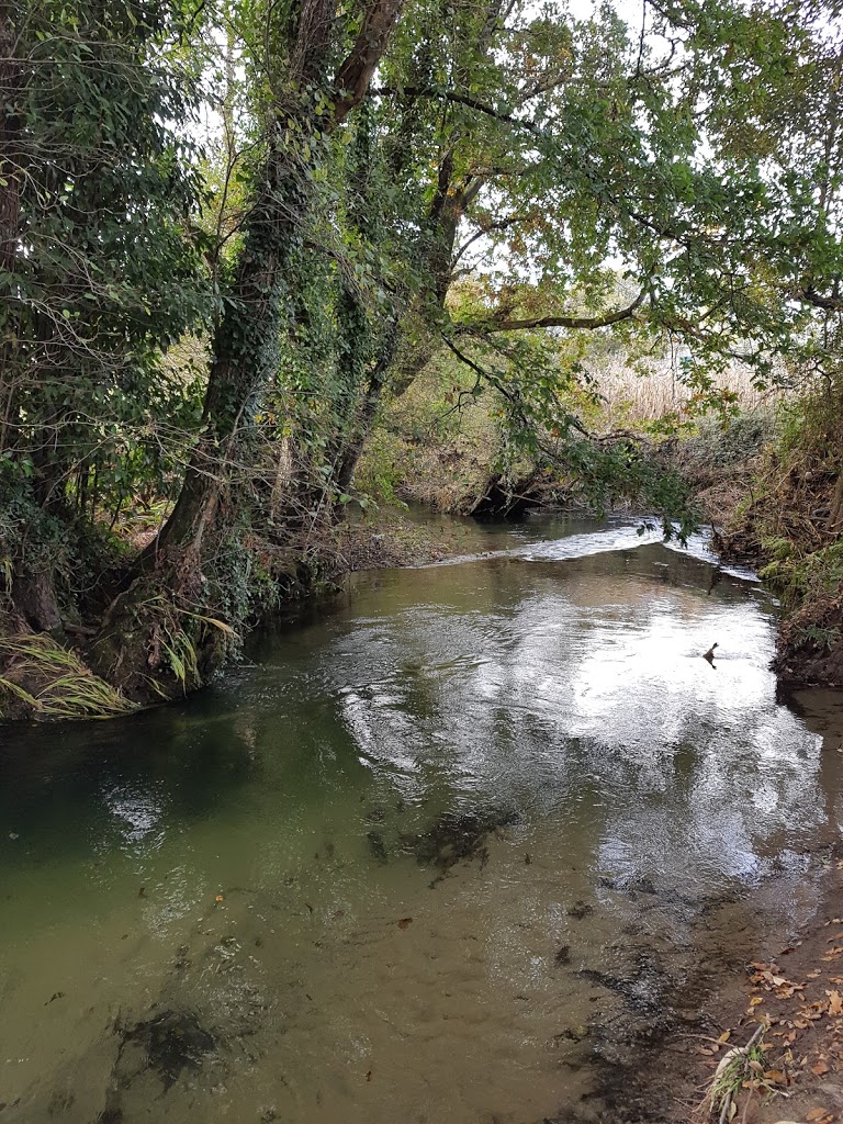 Parque das ánimas - Foto 1