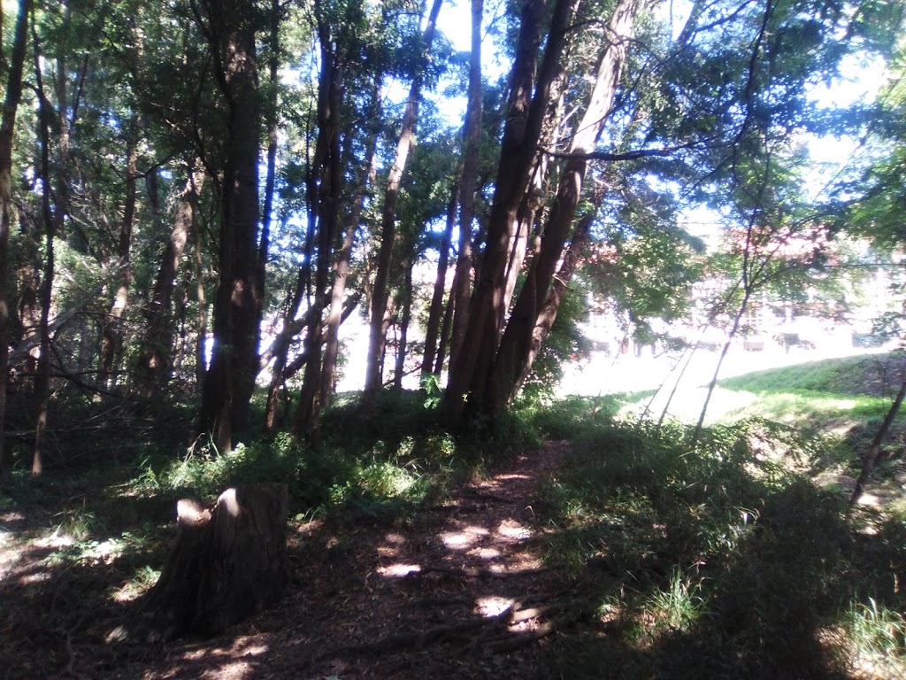 Parque da Coelleira - Foto 1