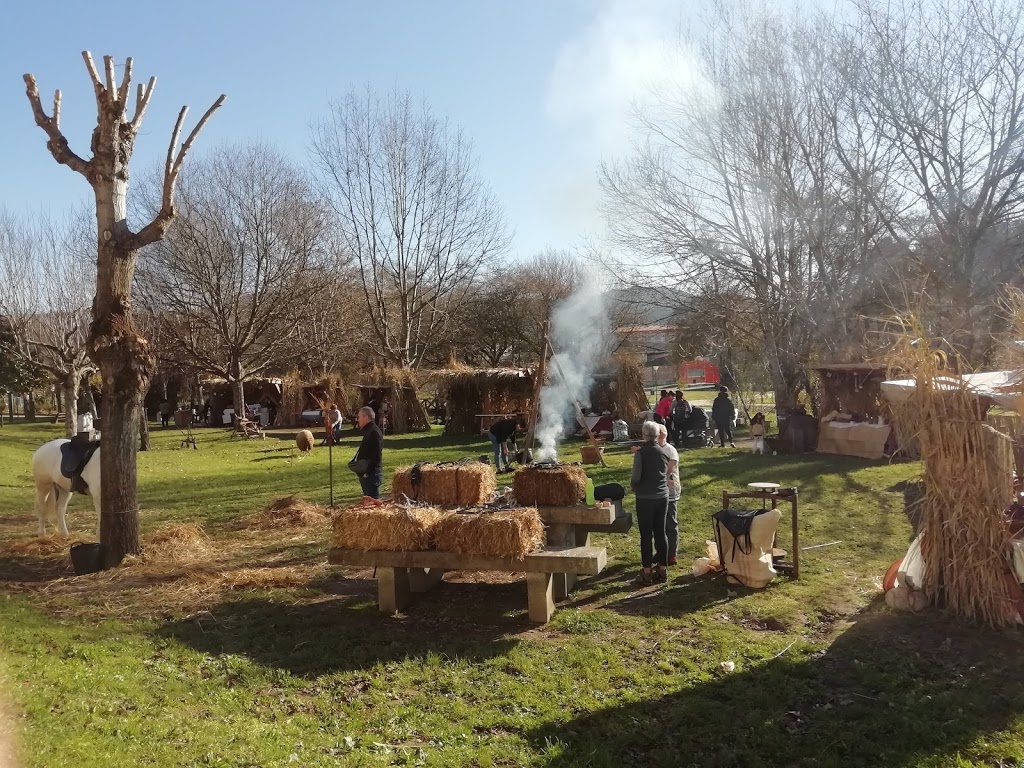 Parque da Coelleira - Foto 1