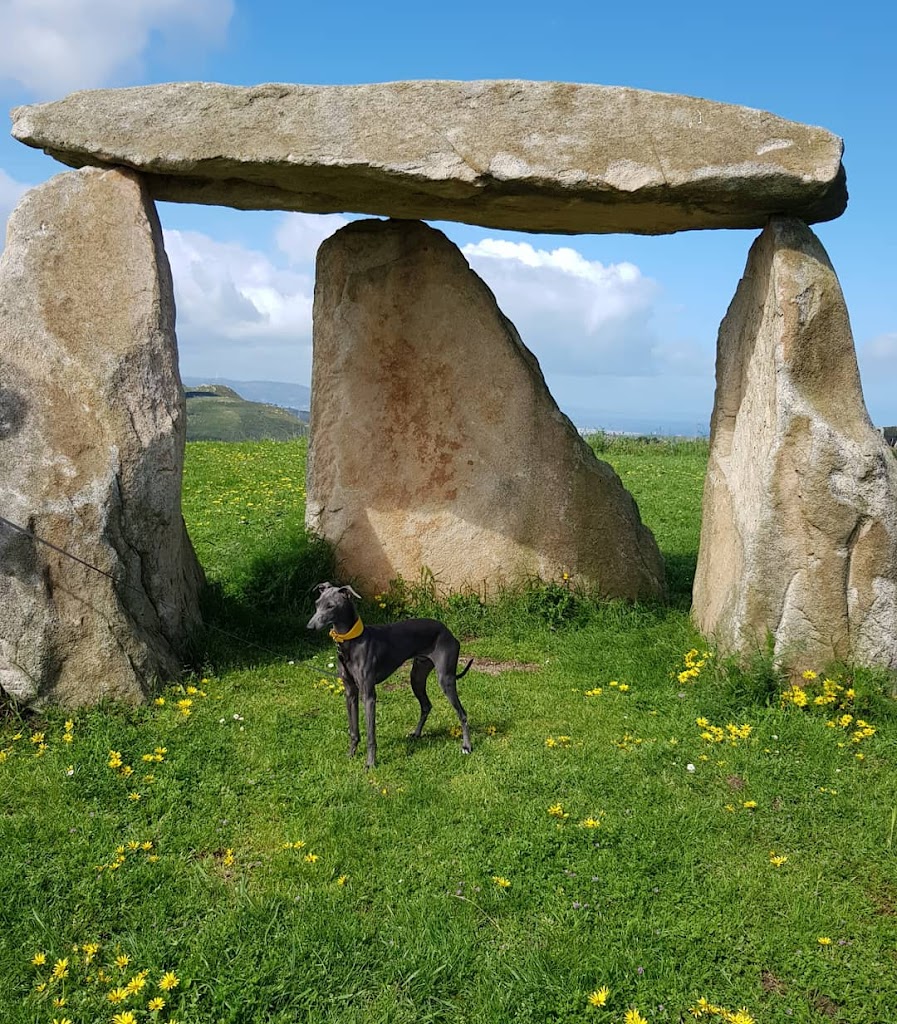 Parque de Bens - Foto 13