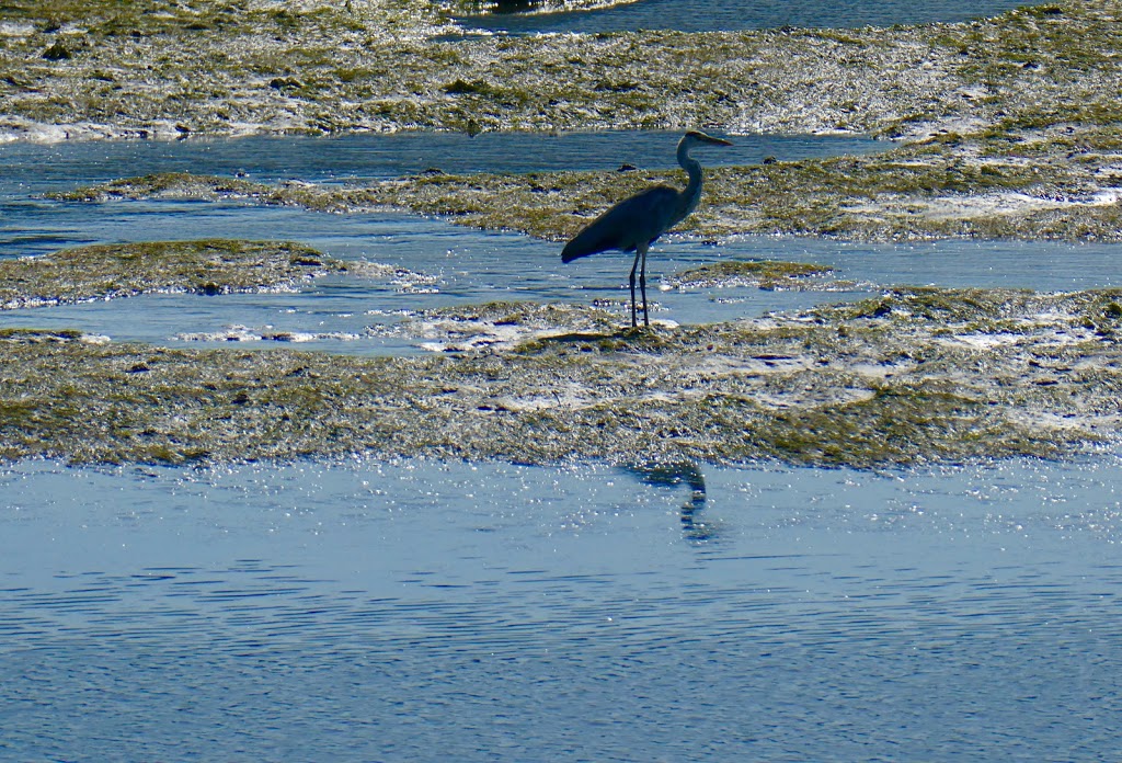 Parque Infantil da Ramallosa - Foto 1