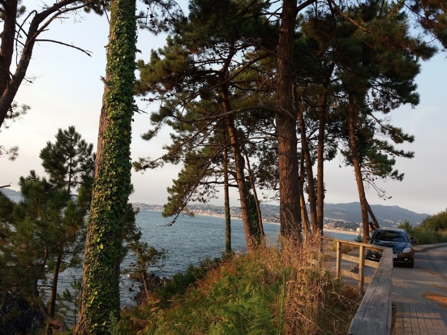 Parque Infantil da Ramallosa - Foto 9