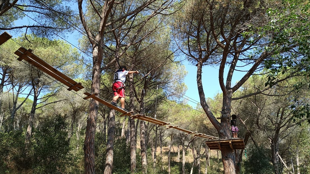 Bosc Vertical Mataró - Foto 1