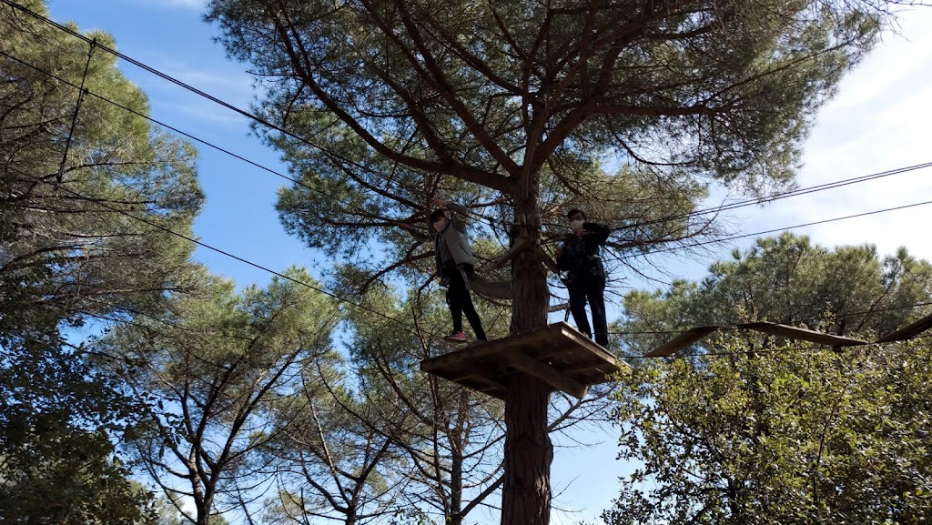 Bosc Vertical Mataró - Foto 1