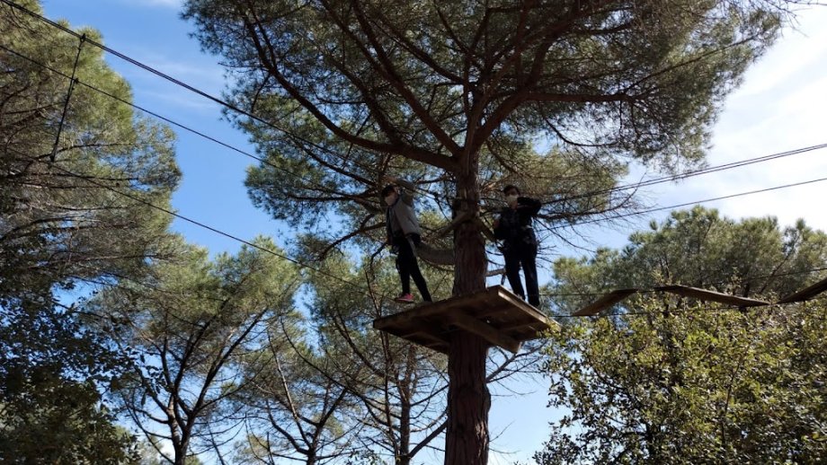 Bosc Vertical Mataró - Foto 10