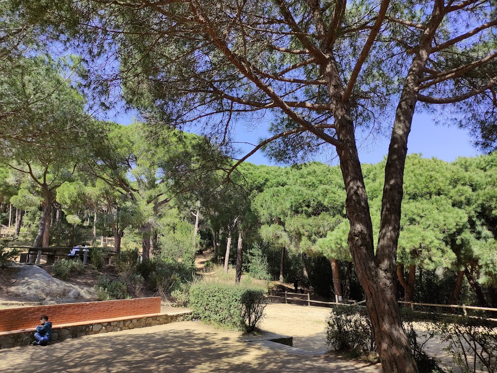 Bosc Vertical Mataró - Foto 1