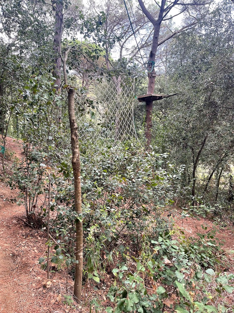 Bosc Vertical Mataró - Foto 1