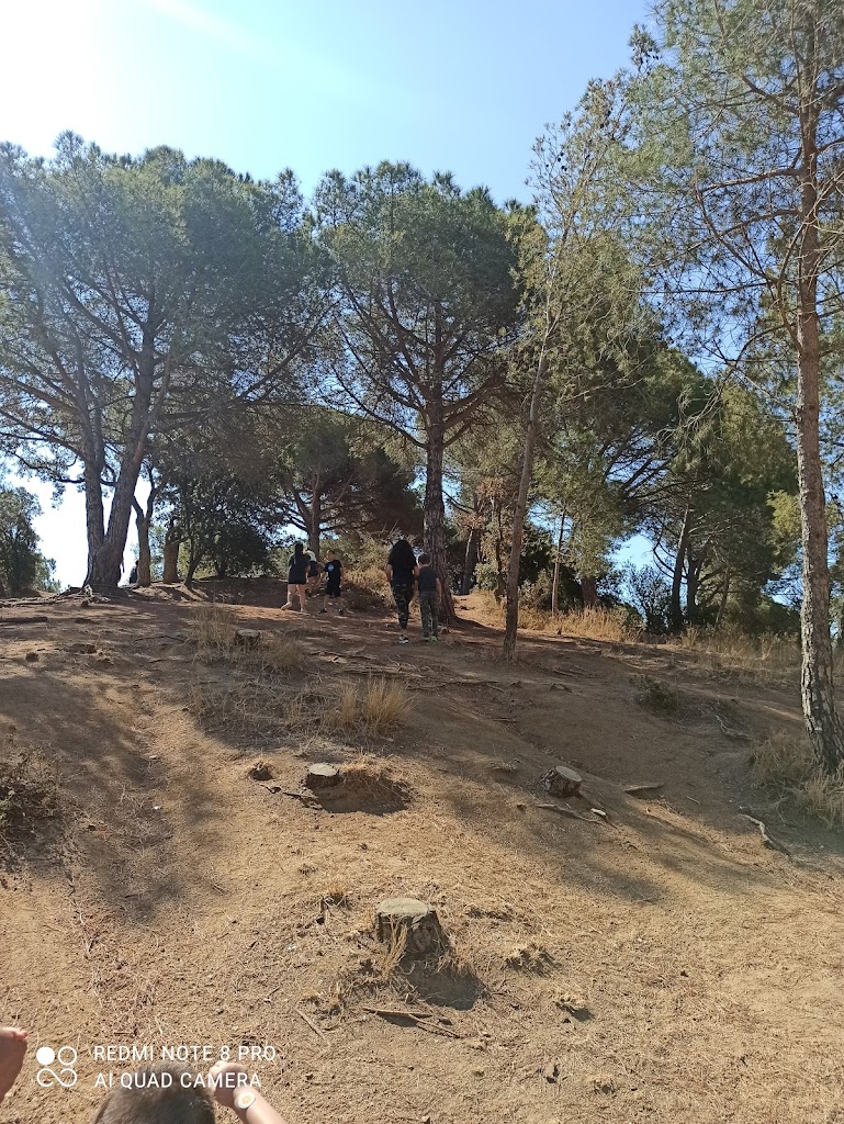 Bosc Vertical Mataró - Foto 1