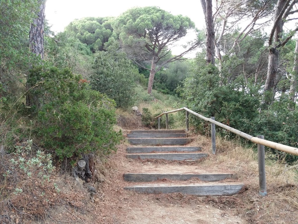 Bosc Vertical Mataró - Foto 1