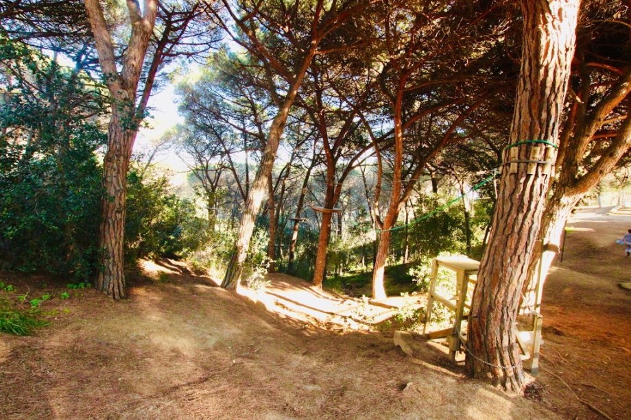 Bosc Vertical Mataró - Foto 3