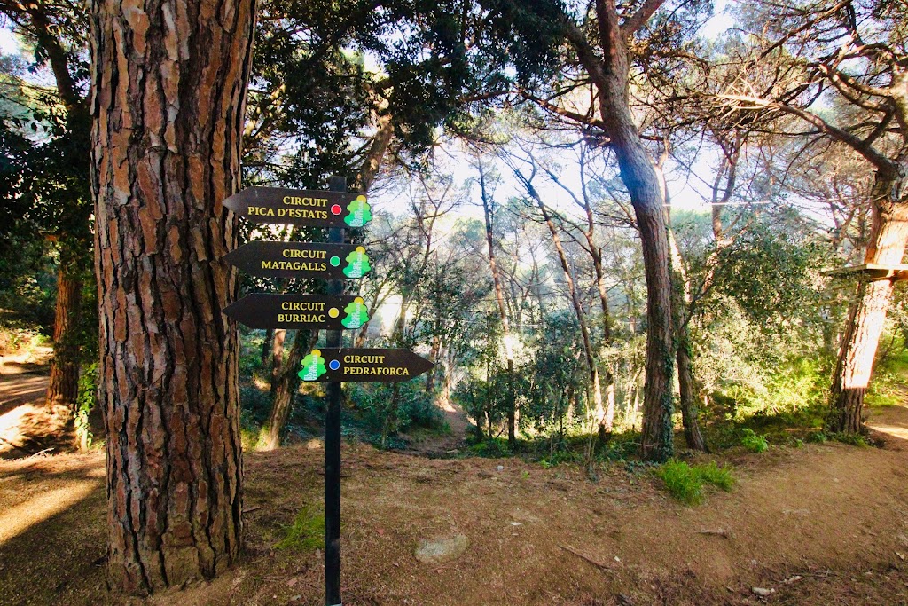 Bosc Vertical Mataró - Foto 1