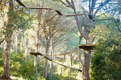 Bosc Vertical Mataró