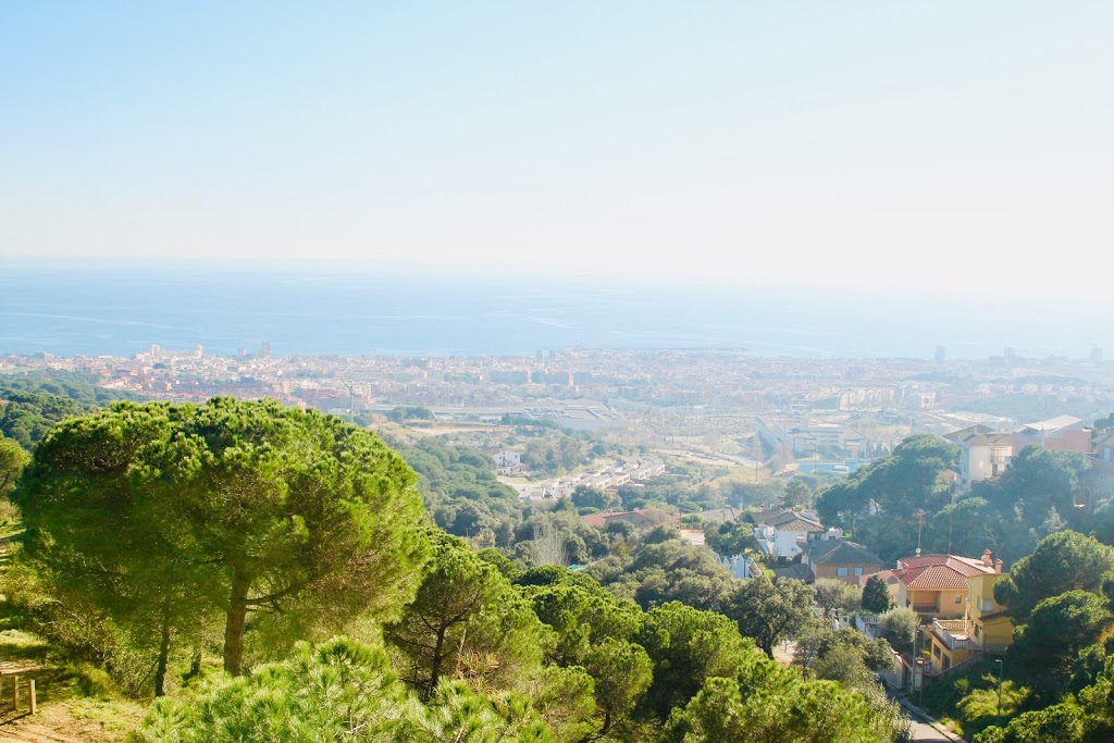 Bosc Vertical Mataró - Foto 1