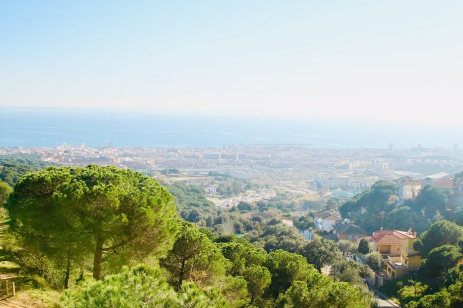 Bosc Vertical Mataró - Foto 4