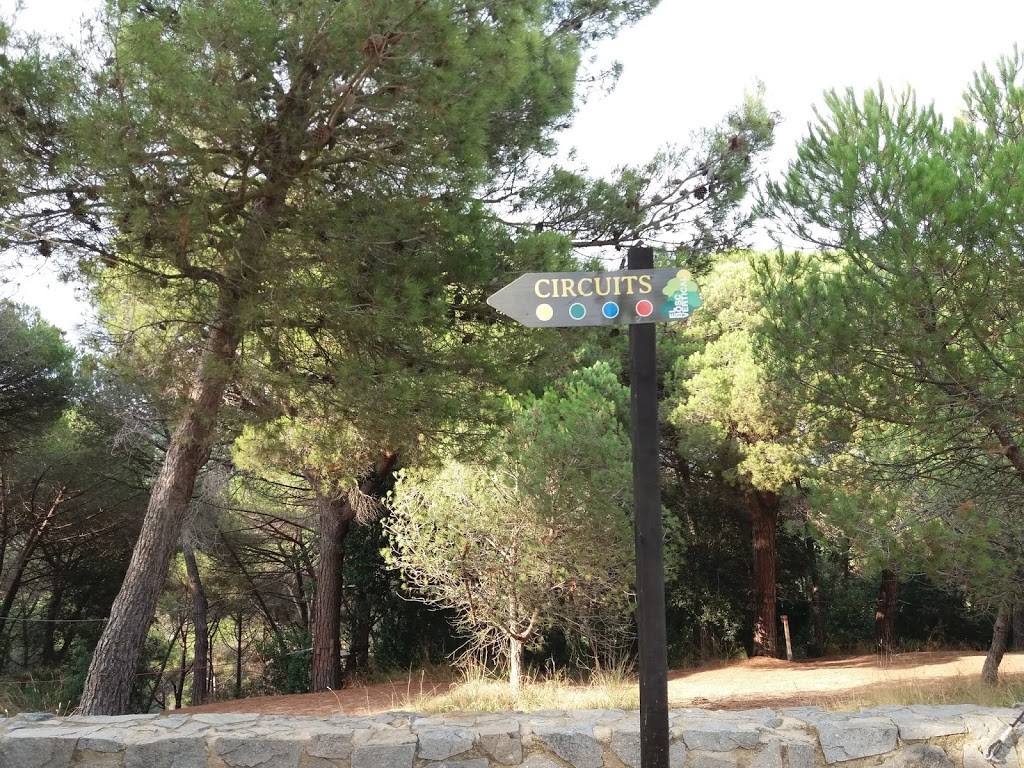 Bosc Vertical Mataró - Foto 1