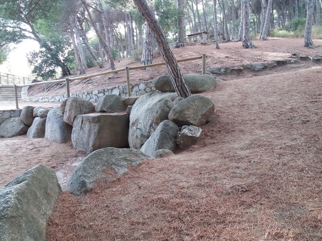 Bosc Vertical Mataró - Foto 1