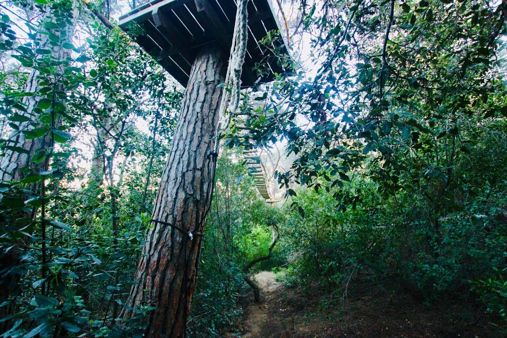 Bosc Vertical Mataró - Foto 1