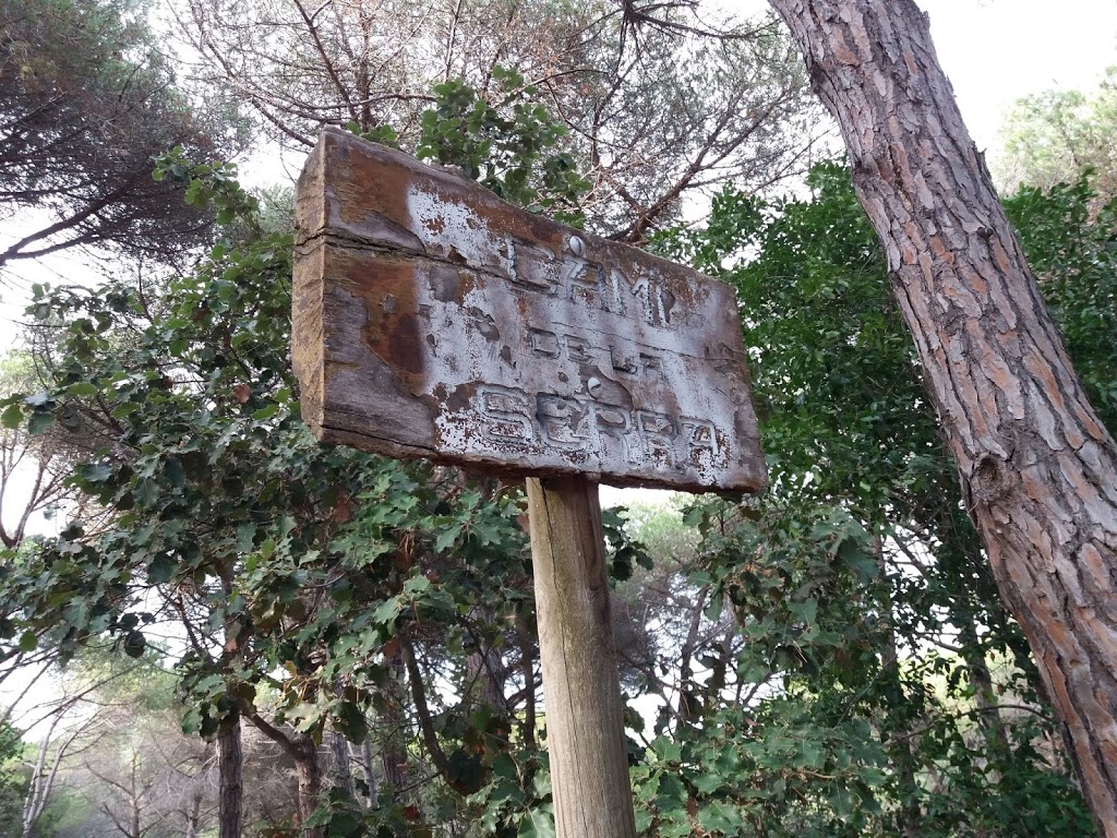 Bosc Vertical Mataró - Foto 1