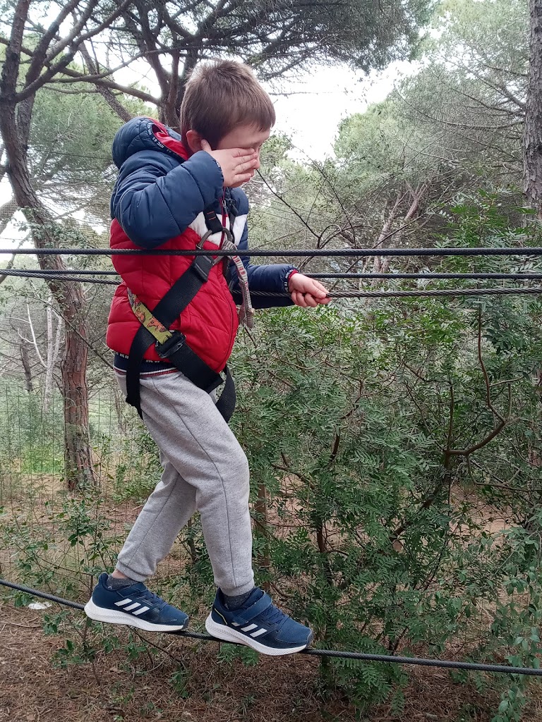 Bosc Vertical Mataró - Foto 18