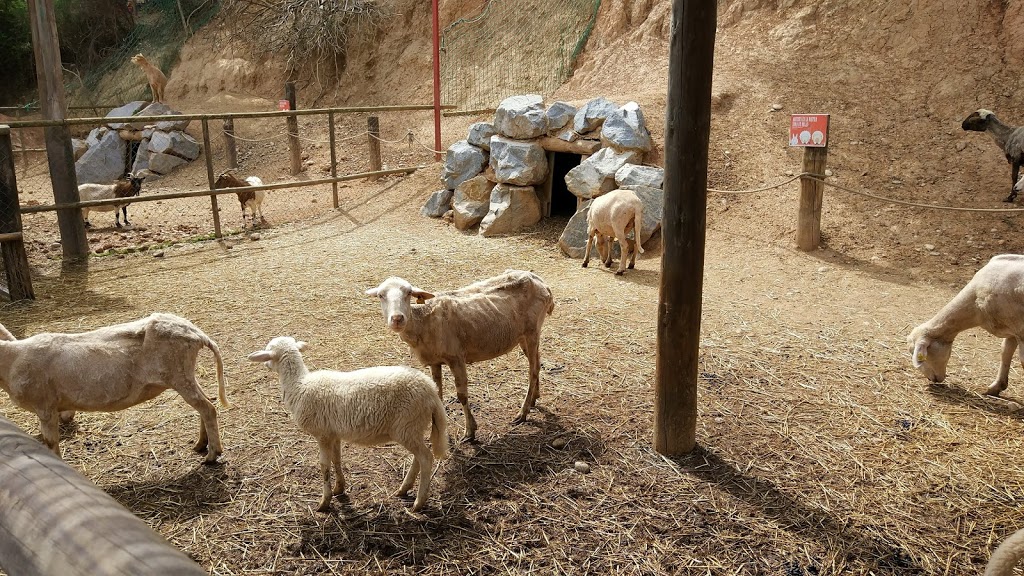 Granja d'Aventura Park 11