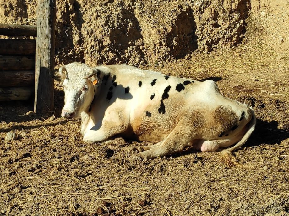 Granja d'Aventura Park - Foto 4