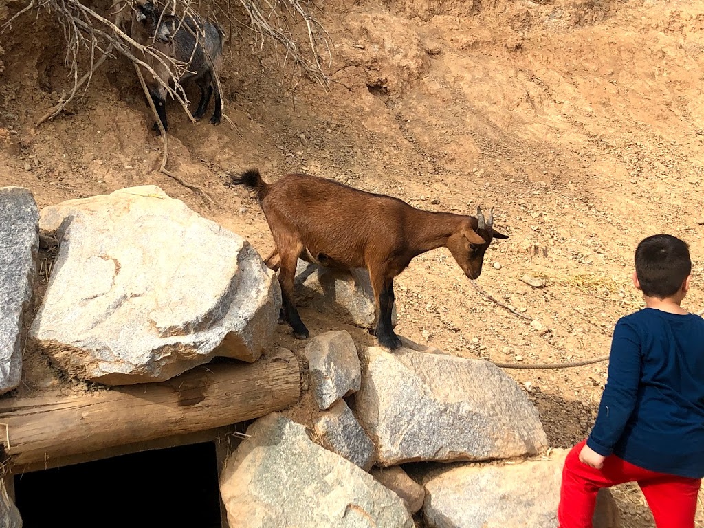 Granja d'Aventura Park 14