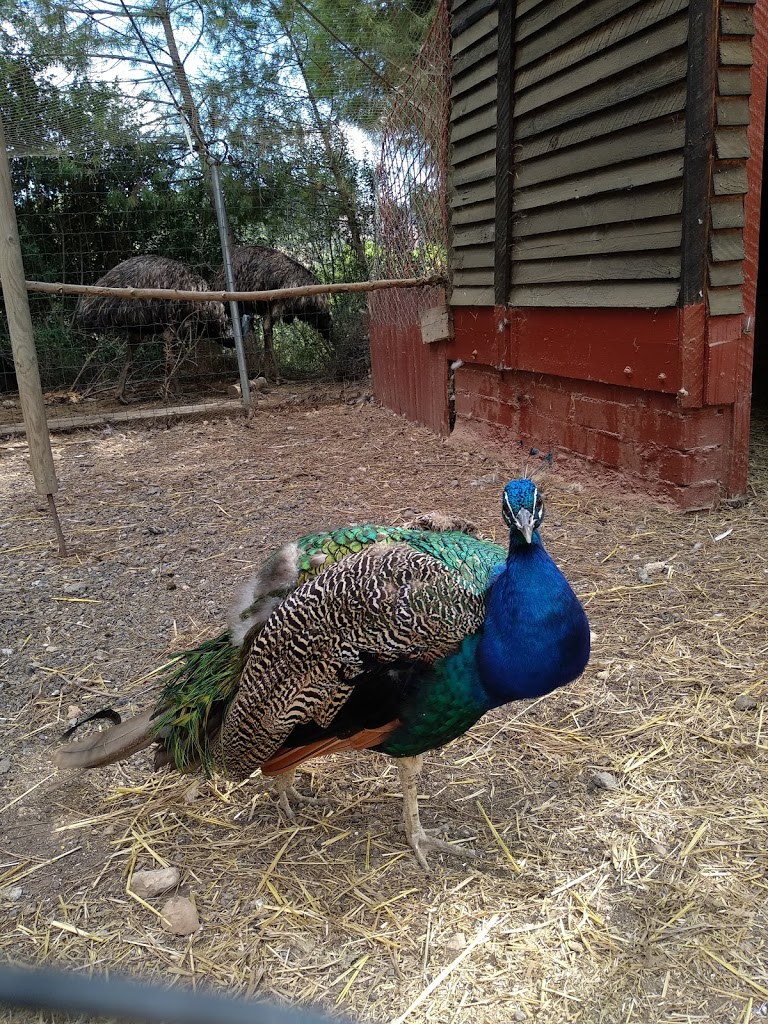 Granja d'Aventura Park - Foto 1