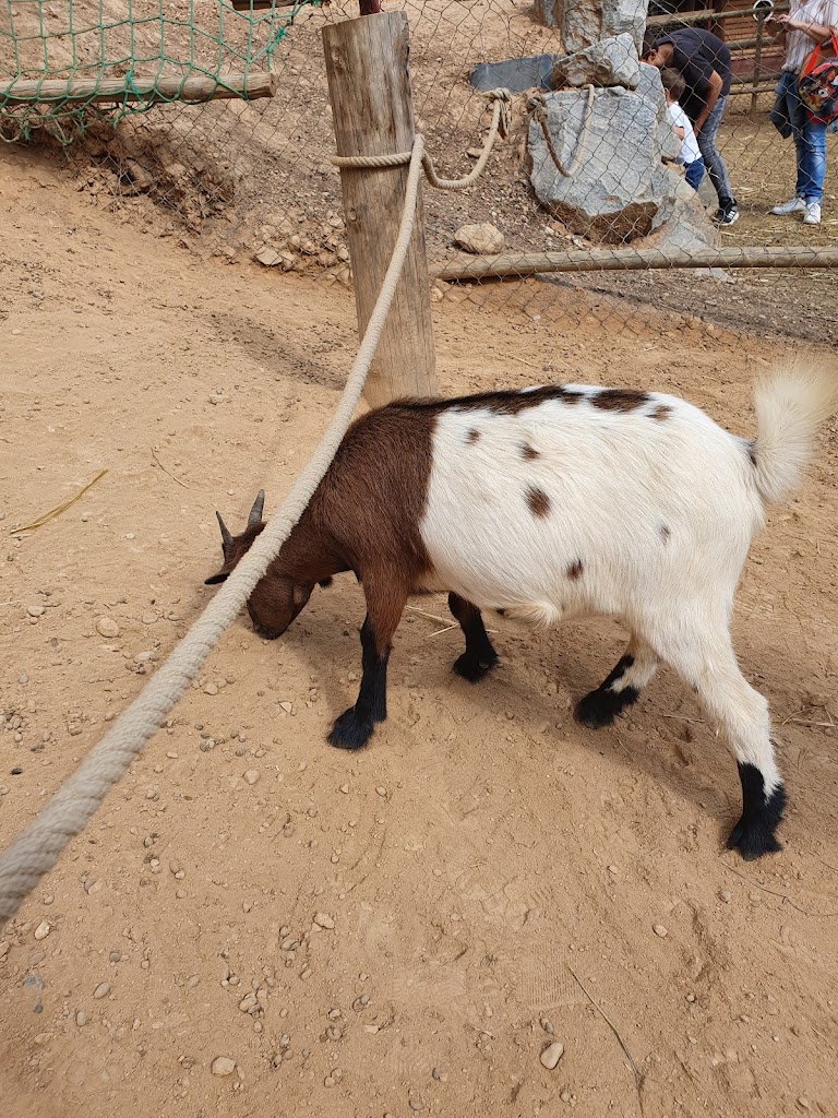 Granja d'Aventura Park - Foto 1