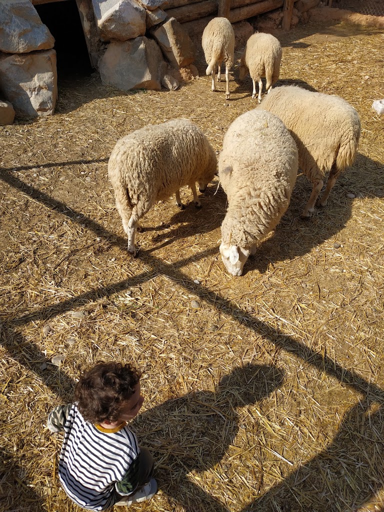 Granja d'Aventura Park - Foto 12