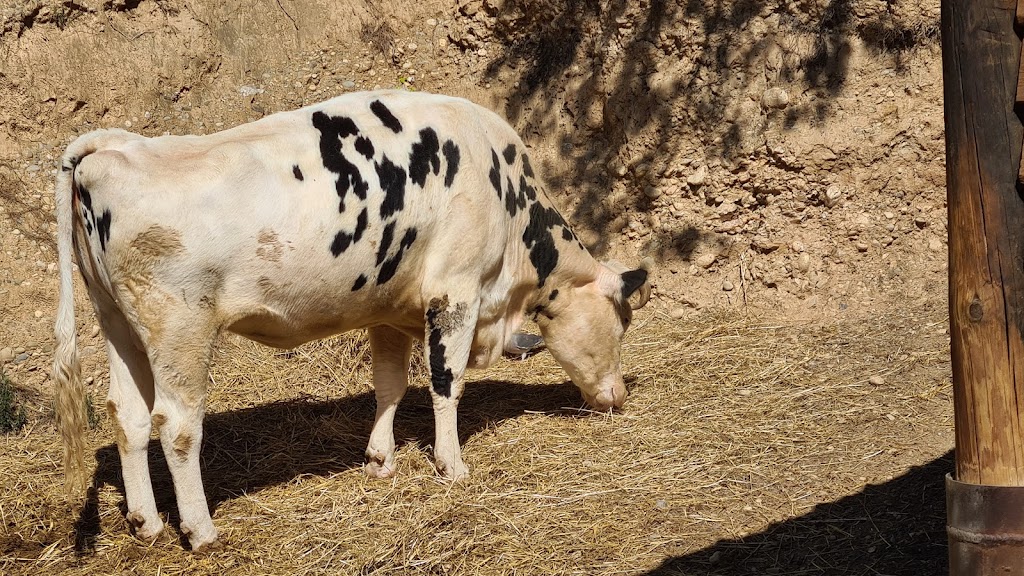 Granja d'Aventura Park - Foto 1