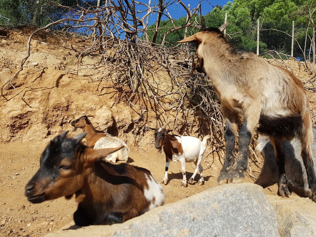 Granja d'Aventura Park - Foto 1