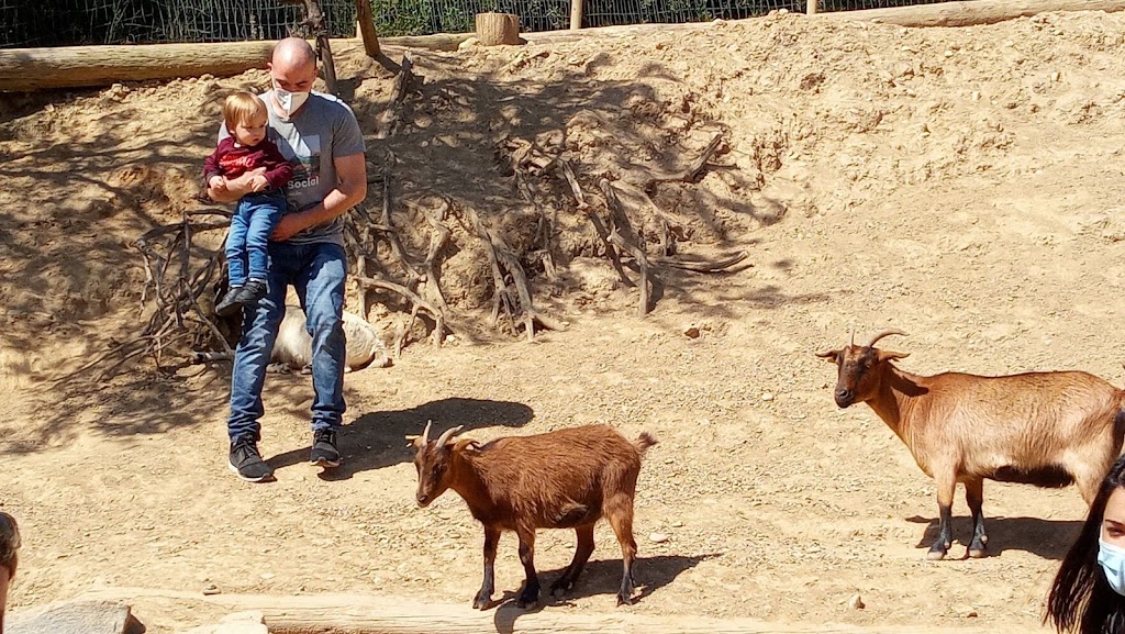 Granja d'Aventura Park 8