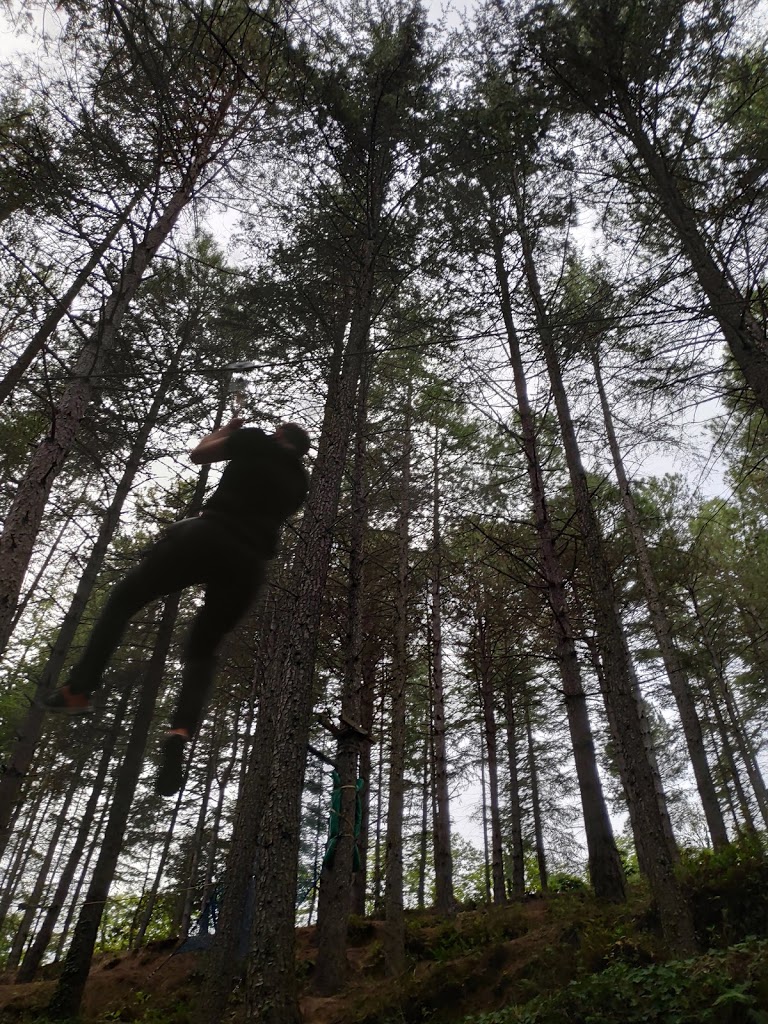 Parc Sant Hilari Aventura - SERHS - Foto 4