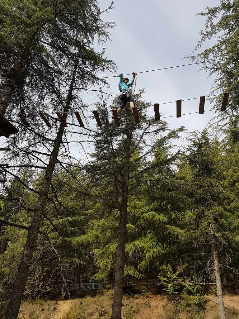 Parc Sant Hilari Aventura - SERHS - Foto 5