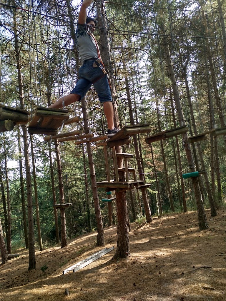 Parc Sant Hilari Aventura - SERHS - Foto 9