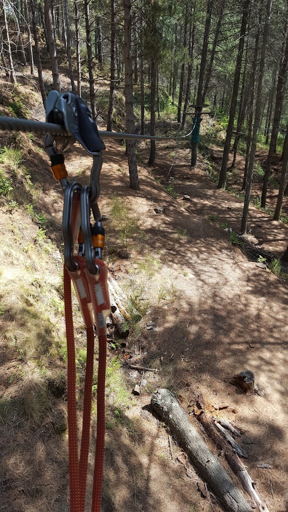 Parc Sant Hilari Aventura - SERHS - Foto 12