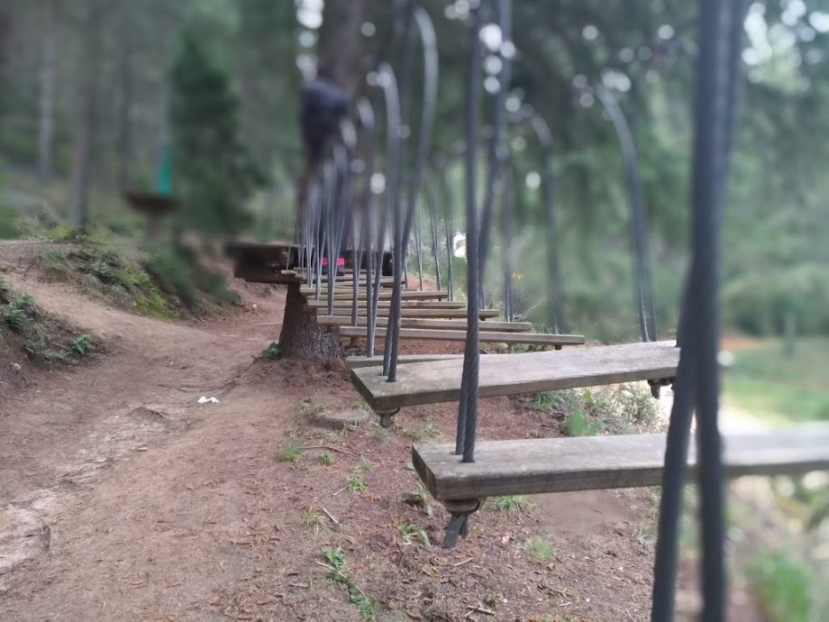 Parc Sant Hilari Aventura - SERHS - Foto 14