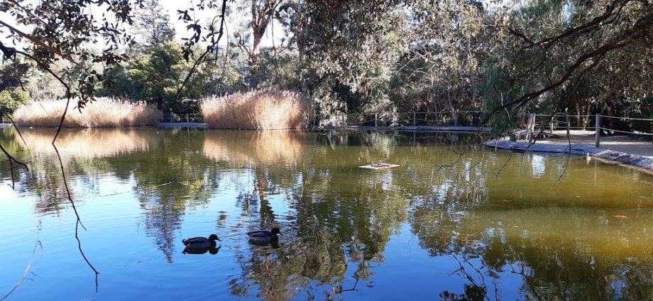 Jalpí Aventura - Foto 9