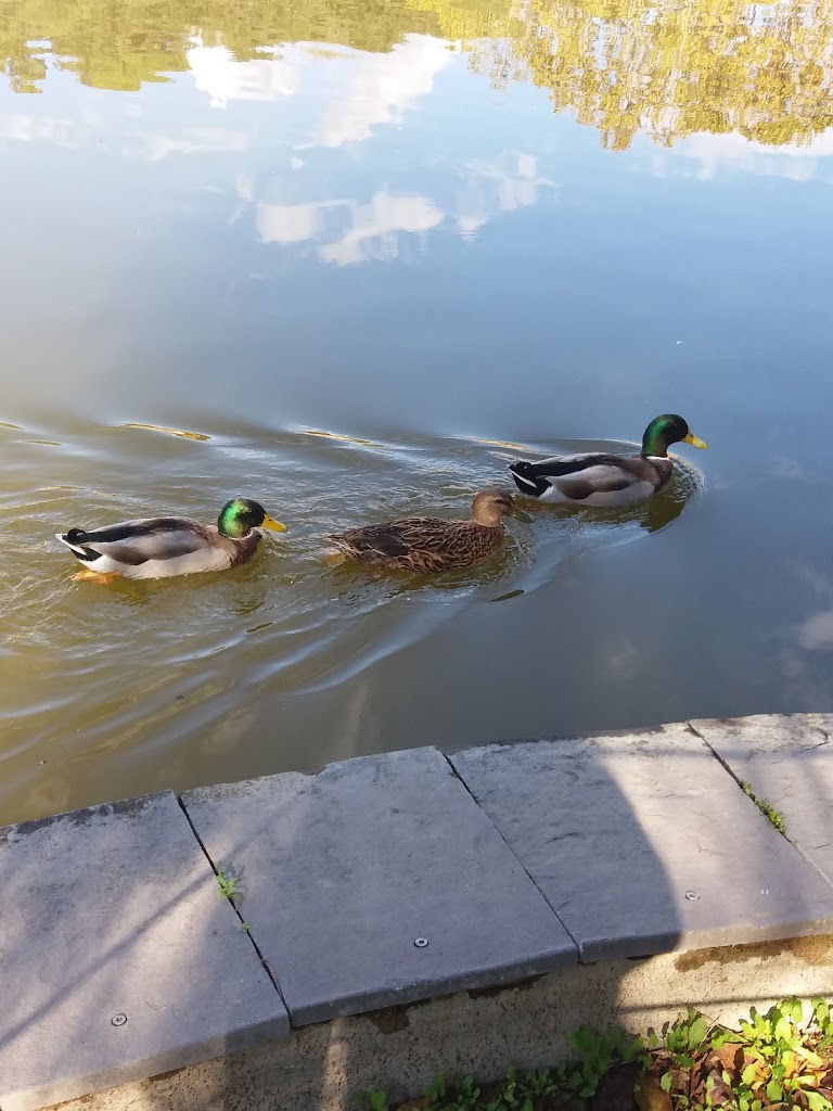 Jalpí Aventura - Foto 17