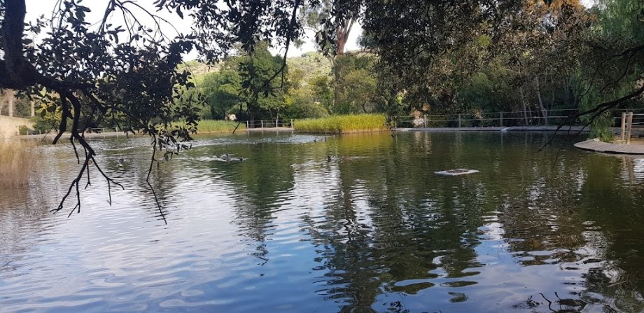 Jalpí Aventura - Foto 18