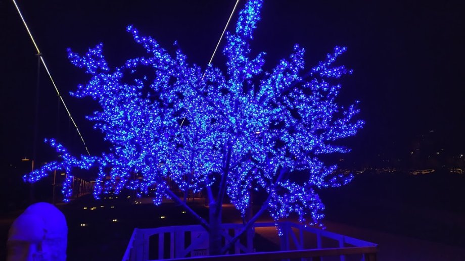 Parque de la Solidaridad - Foto 3