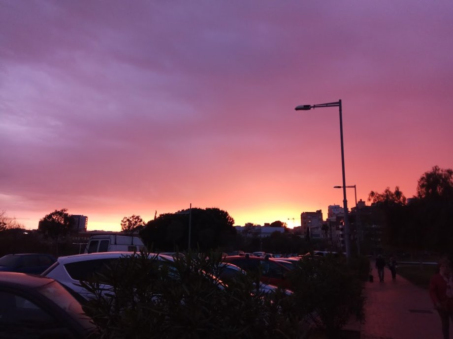 Parque de la Solidaridad - Foto 9